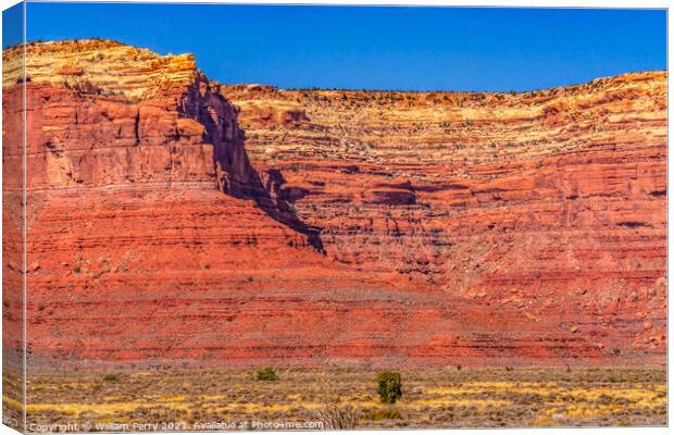 Colorful Valley of Gods Red Cliffs Mexican Hat Utah Canvas Print by William Perry