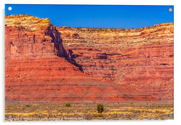 Colorful Valley of Gods Red Cliffs Mexican Hat Utah Acrylic by William Perry