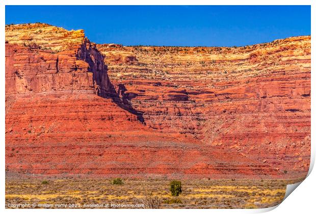 Colorful Valley of Gods Red Cliffs Mexican Hat Utah Print by William Perry