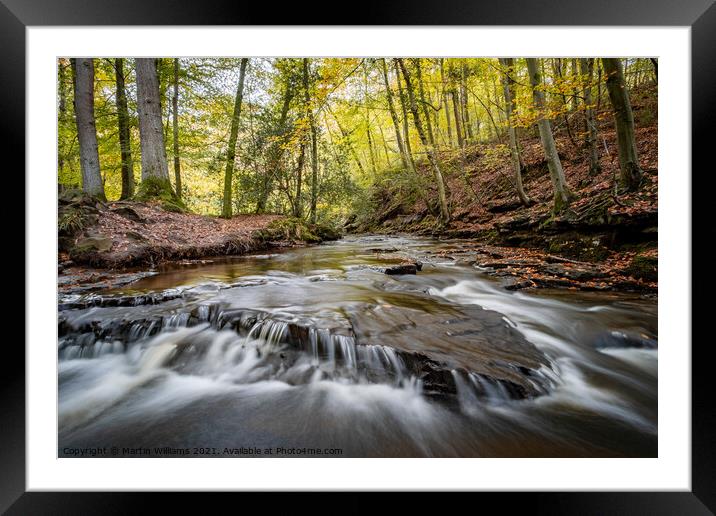 May Beck in Sneaton Forest, be Whitby Framed Mounted Print by Martin Williams