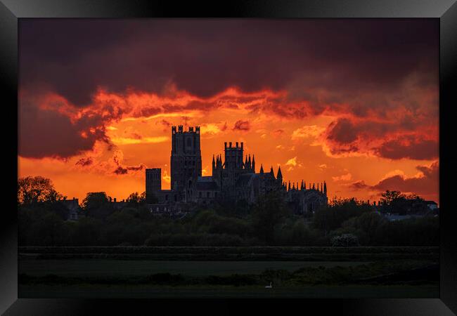 Illuminated Glory of Ely Cathedral Framed Print by Andrew Sharpe