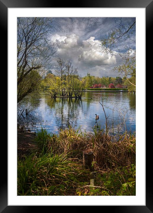 Cloud Reflections at Longmoor Lake _ California Country Park _ Finchampstead, Berkshire, England. Framed Mounted Print by Dave Williams