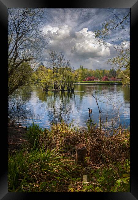 Cloud Reflections at Longmoor Lake _ California Country Park _ Finchampstead, Berkshire, England. Framed Print by Dave Williams