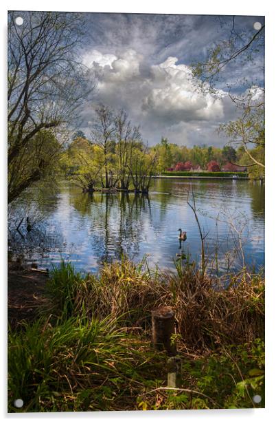 Cloud Reflections at Longmoor Lake _ California Country Park _ Finchampstead, Berkshire, England. Acrylic by Dave Williams