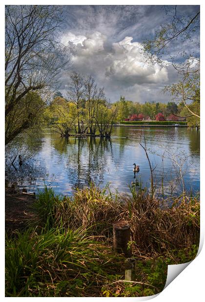 Cloud Reflections at Longmoor Lake _ California Country Park _ Finchampstead, Berkshire, England. Print by Dave Williams