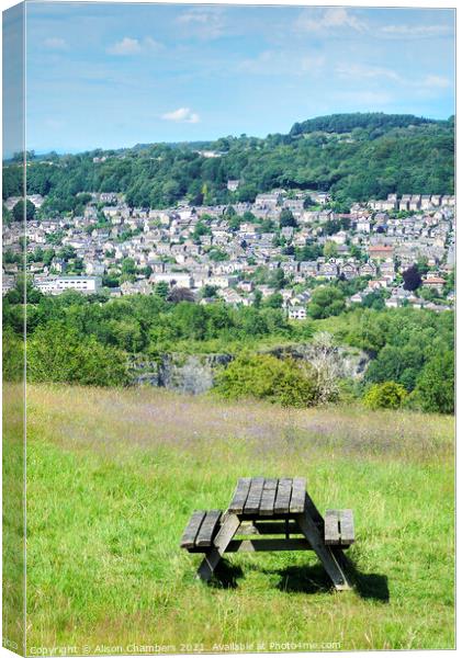 Matlock View and Picnic Table Canvas Print by Alison Chambers