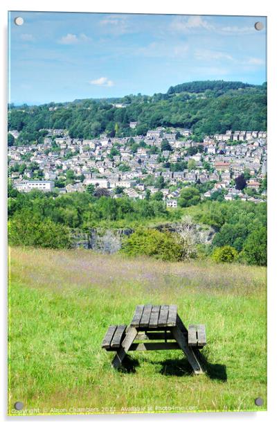 Matlock View and Picnic Table Acrylic by Alison Chambers