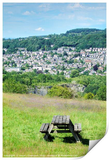 Matlock View and Picnic Table Print by Alison Chambers