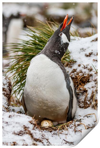 Gentoo Penguin On Its Nest Print by Steve de Roeck