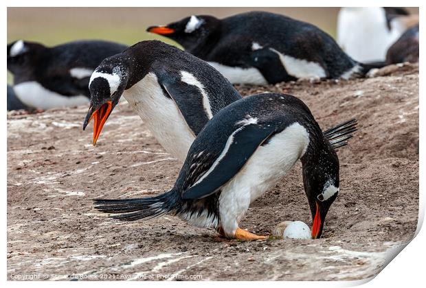Gentoo Penguins Swap Duties At The Nest Print by Steve de Roeck