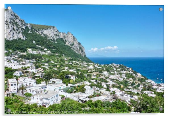 The Island of Capri Italy Acrylic by Diana Mower