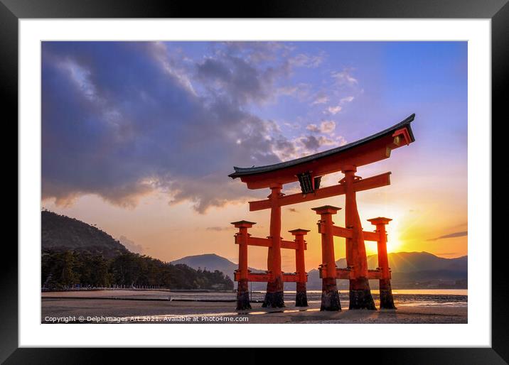 Great torii of Miyajima at sunset, Japan Framed Mounted Print by Delphimages Art