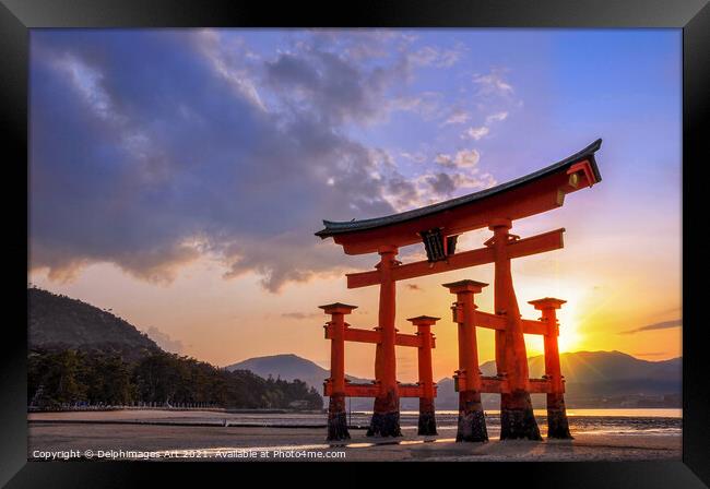 Great torii of Miyajima at sunset, Japan Framed Print by Delphimages Art