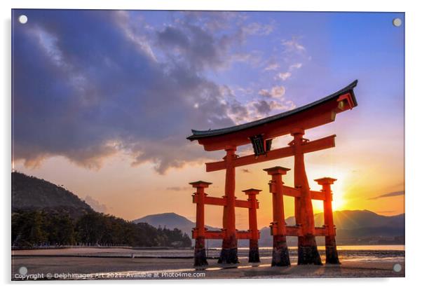Great torii of Miyajima at sunset, Japan Acrylic by Delphimages Art