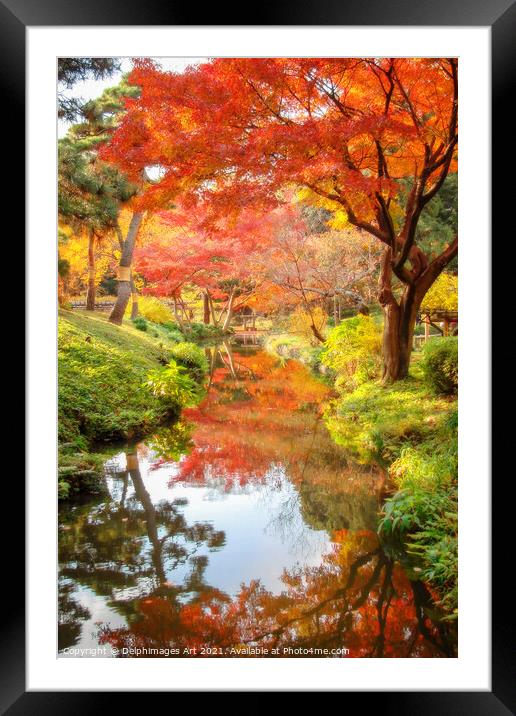 Tokyo, Japan. Foliage in a japanese garden in autu Framed Mounted Print by Delphimages Art