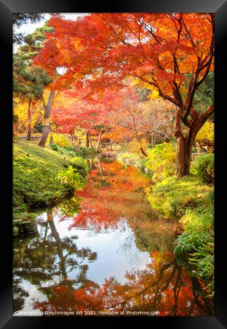 Tokyo, Japan. Foliage in a japanese garden in autu Framed Print by Delphimages Art