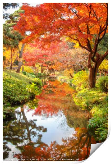Tokyo, Japan. Foliage in a japanese garden in autu Print by Delphimages Art