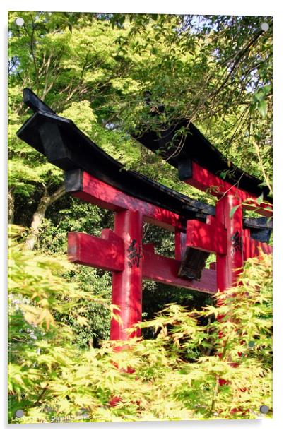 Japanese torii gates at Fushimi Inari Kyoto, Japan Acrylic by Delphimages Art