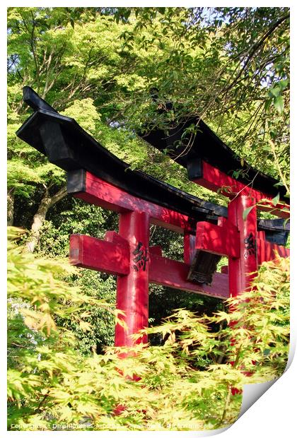 Japanese torii gates at Fushimi Inari Kyoto, Japan Print by Delphimages Art