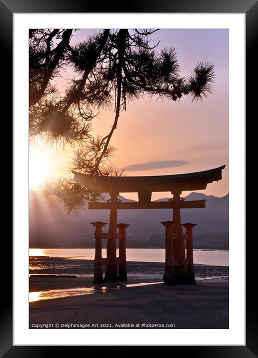Japan. Great torii of Miyajima in the sunset Framed Mounted Print by Delphimages Art
