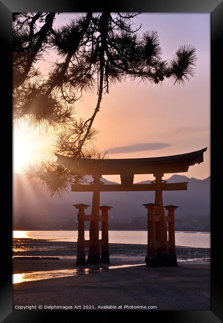 Japan. Great torii of Miyajima in the sunset Framed Print by Delphimages Art