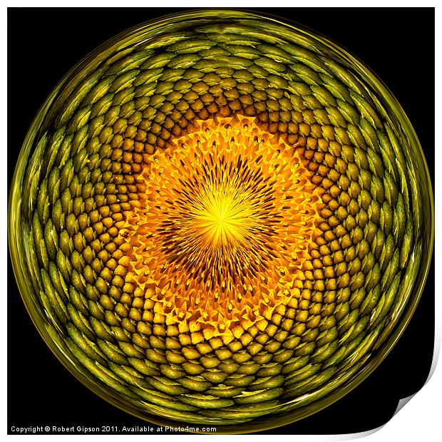 Sunflower sunburst Print by Robert Gipson