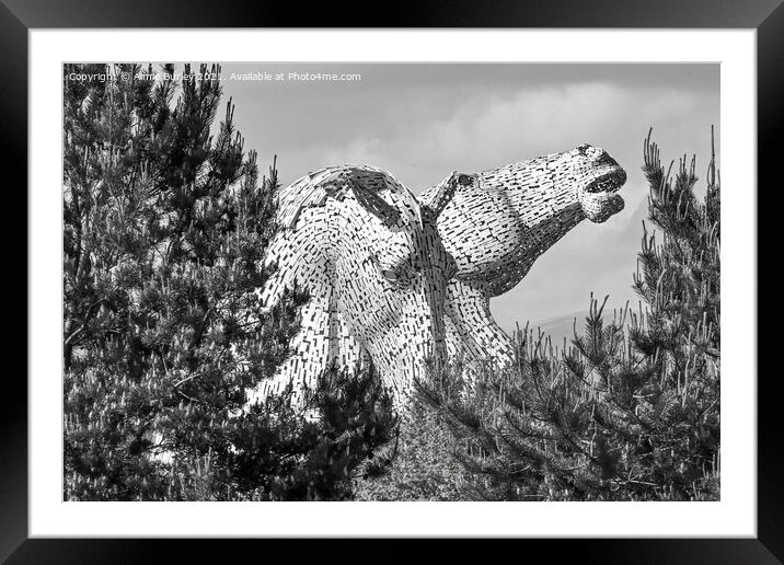 The kelpies close up Framed Mounted Print by Aimie Burley