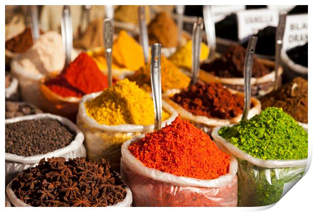 colourful spices Print by peter schickert
