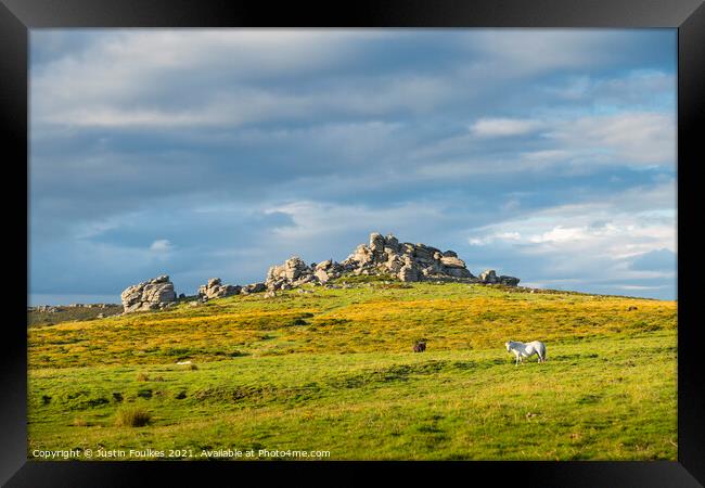 Hound Tor, with Dartmoor Pony, Dartmoor, Devon Framed Print by Justin Foulkes