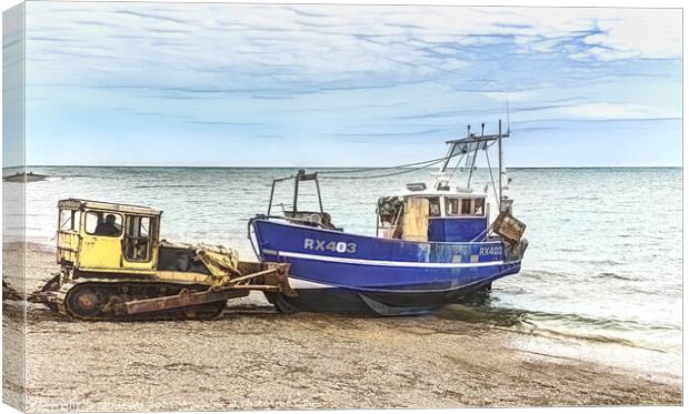 A Helping Hand Canvas Print by Ian Lewis