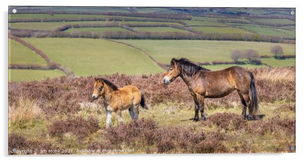 Exmoor Pony and Foal Acrylic by Jim Monk