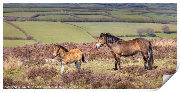 Exmoor Pony and Foal Print by Jim Monk