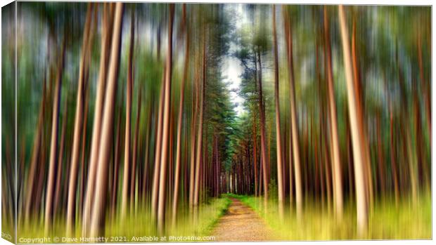A Path Through the Pines Canvas Print by Dave Harnetty