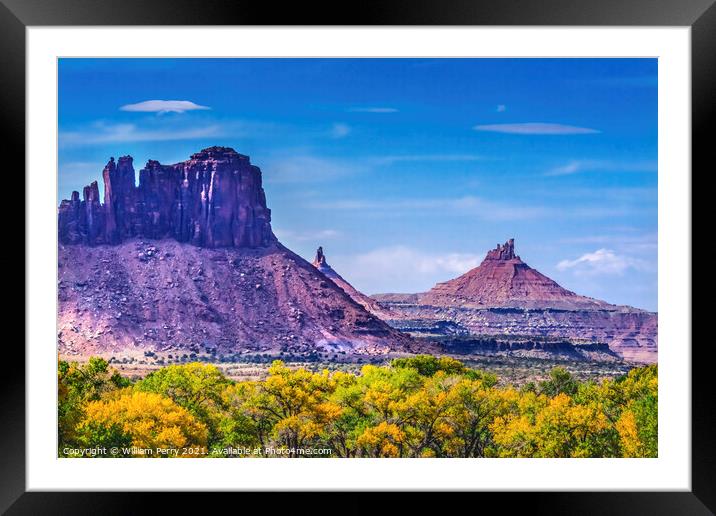 Pink Buttes Yellow Cottonwood Trees Canyonlands Needles Utah Framed Mounted Print by William Perry
