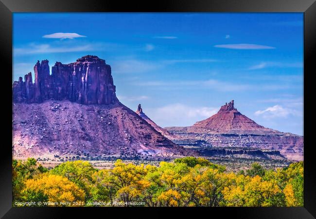 Pink Buttes Yellow Cottonwood Trees Canyonlands Needles Utah Framed Print by William Perry