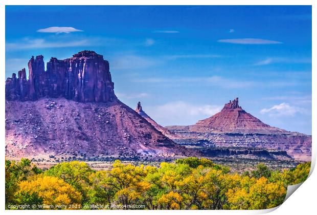 Pink Buttes Yellow Cottonwood Trees Canyonlands Needles Utah Print by William Perry