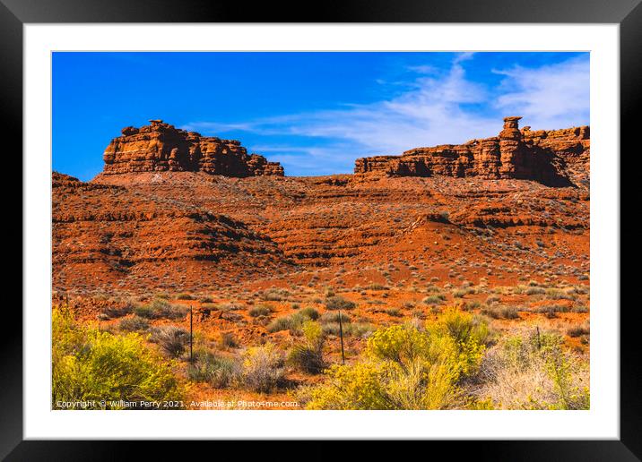 Colorful Yellow flowers Red Mountains Monument Valley Utah Framed Mounted Print by William Perry