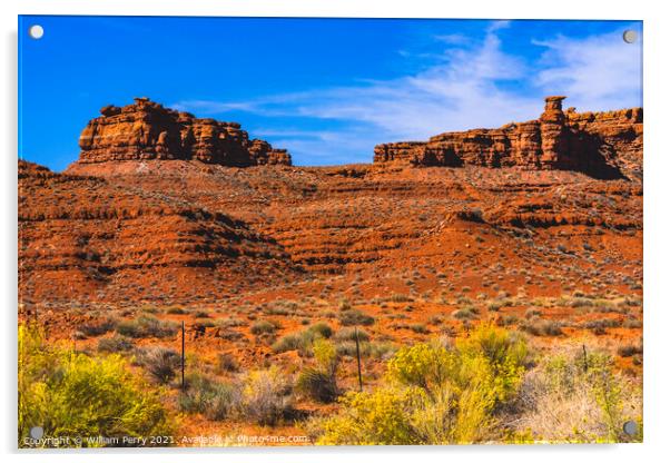 Colorful Yellow flowers Red Mountains Monument Valley Utah Acrylic by William Perry