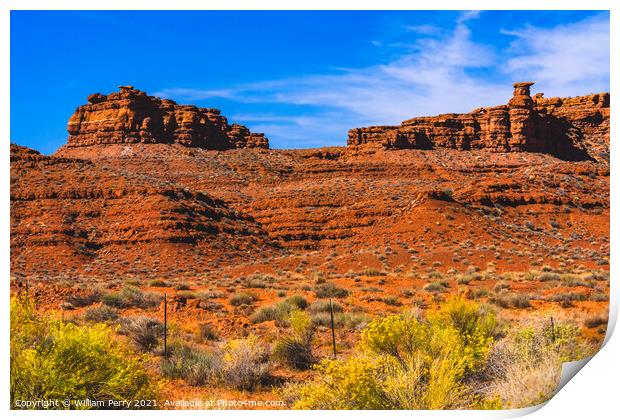 Colorful Yellow flowers Red Mountains Monument Valley Utah Print by William Perry