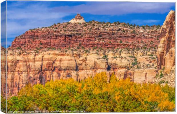 Yellow Cottonwood Trees White Red Rock Mountain Canyonlands Need Canvas Print by William Perry