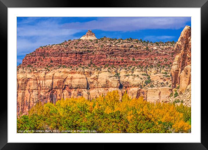 Yellow Cottonwood Trees White Red Rock Mountain Canyonlands Need Framed Mounted Print by William Perry