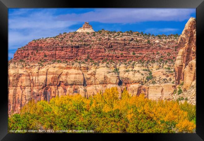 Yellow Cottonwood Trees White Red Rock Mountain Canyonlands Need Framed Print by William Perry