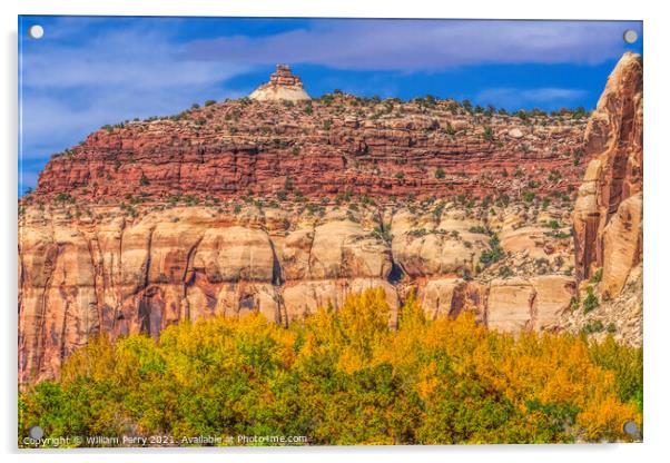 Yellow Cottonwood Trees White Red Rock Mountain Canyonlands Need Acrylic by William Perry