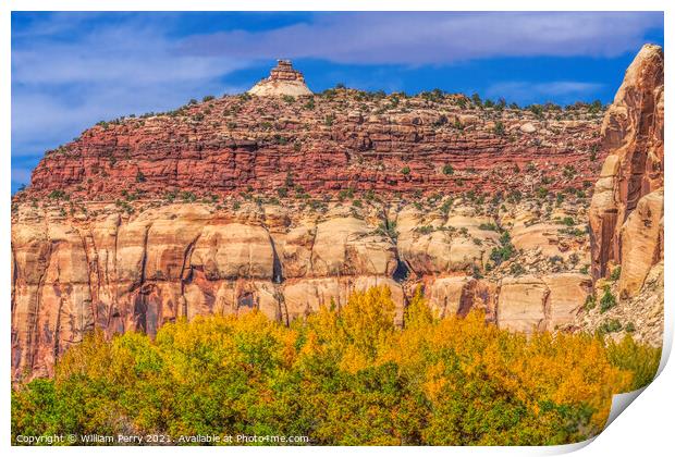 Yellow Cottonwood Trees White Red Rock Mountain Canyonlands Need Print by William Perry