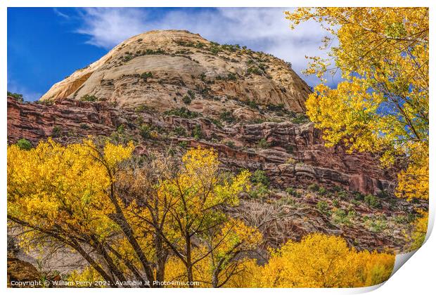 Yellow Cottonwood Trees White Rock Mountain Canyonlands Needles  Print by William Perry