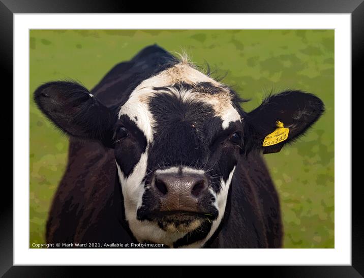 Look into My Eyes. Framed Mounted Print by Mark Ward