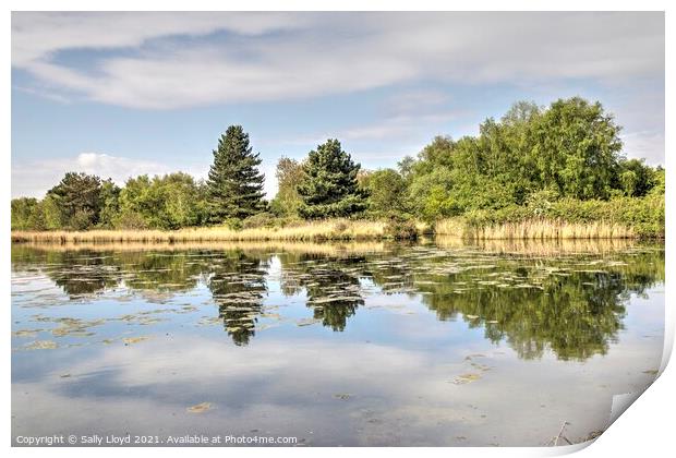 Abraham's Bosom Lake View Print by Sally Lloyd