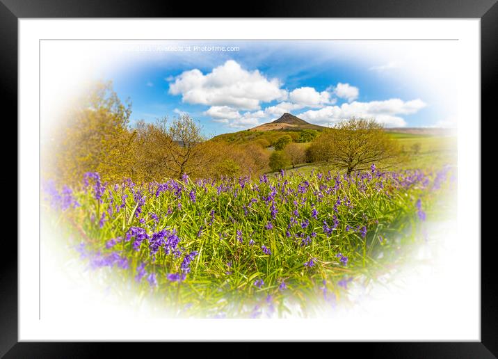 Bluebell Topping Framed Mounted Print by Cass Castagnoli