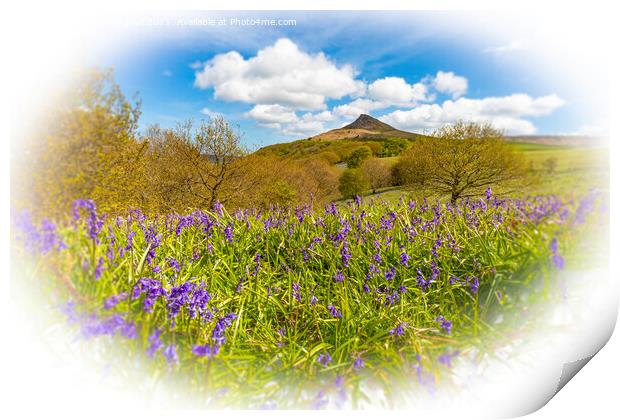 Bluebell Topping Print by Cass Castagnoli