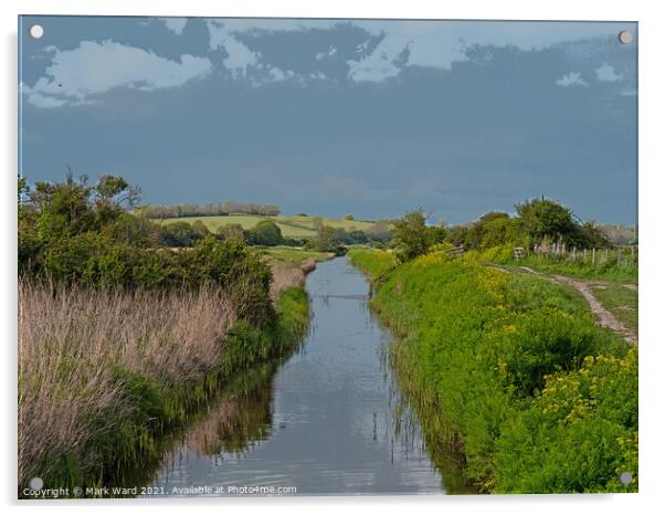 Royal Military Canal at Pett Level Sussex. Acrylic by Mark Ward